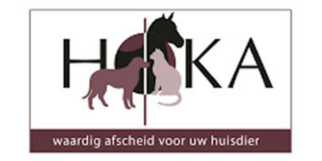 Home hoka copy